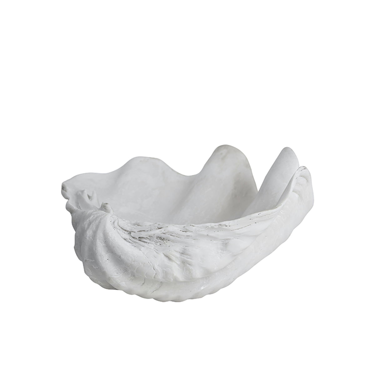 Clam Shell Sculpture - White 24 x 20 x 12cm - OFO Outdoor Furniture