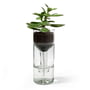 side by side - Self Watering Bottle Flowerpot, clear glass