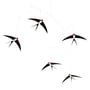 Flensted Mobiles - Flying Swallow s Mobile 5