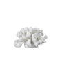 Mette Ditmer - Coral Decorative object twigs small, white