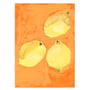 Paper Collective - Lemons Poster, 70 x 100 cm