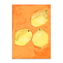 Paper Collective - Lemons Poster, 50 x 70 cm