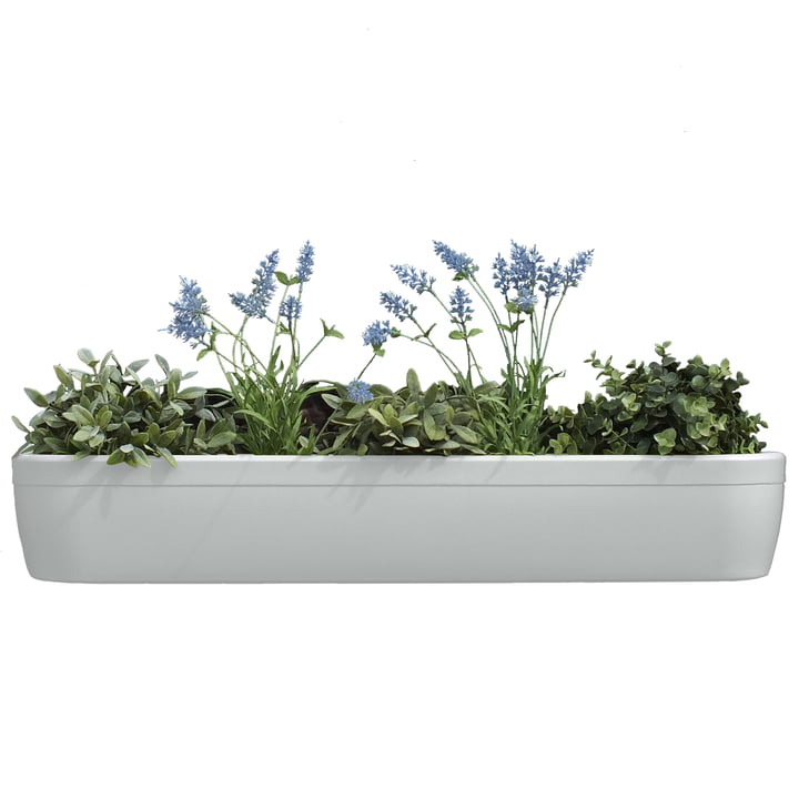 The windowgreen window sill Flower-Box by rephorm in white 