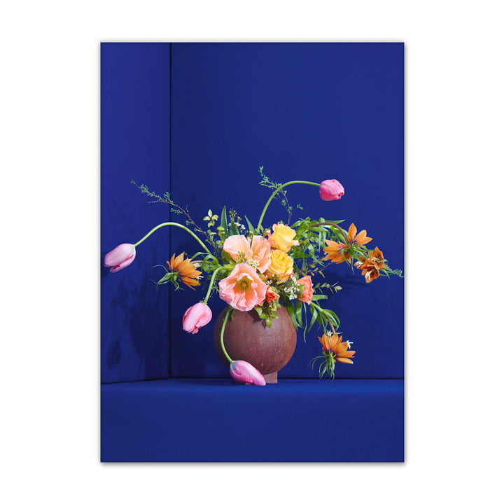 Blomst from Paper Collective , 50 x 70 cm in blue