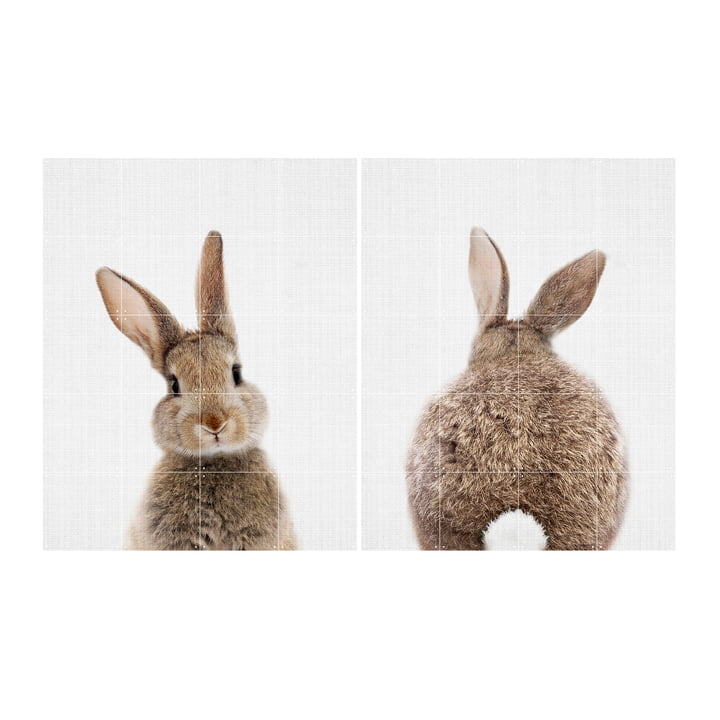 Rabbit 80 x 100 cm from IXXI