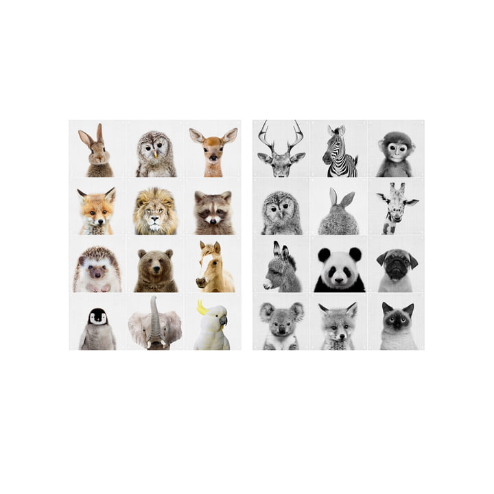 Animal Family wall motif by IXXI