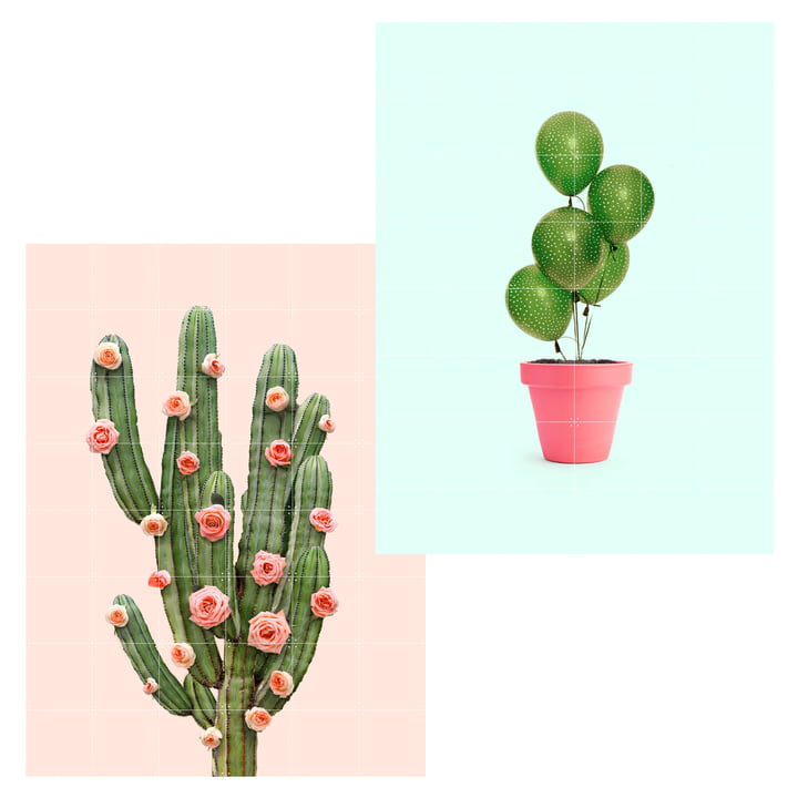 Cactus balloons and roses poster, 120 x 160 cm by IXXI
