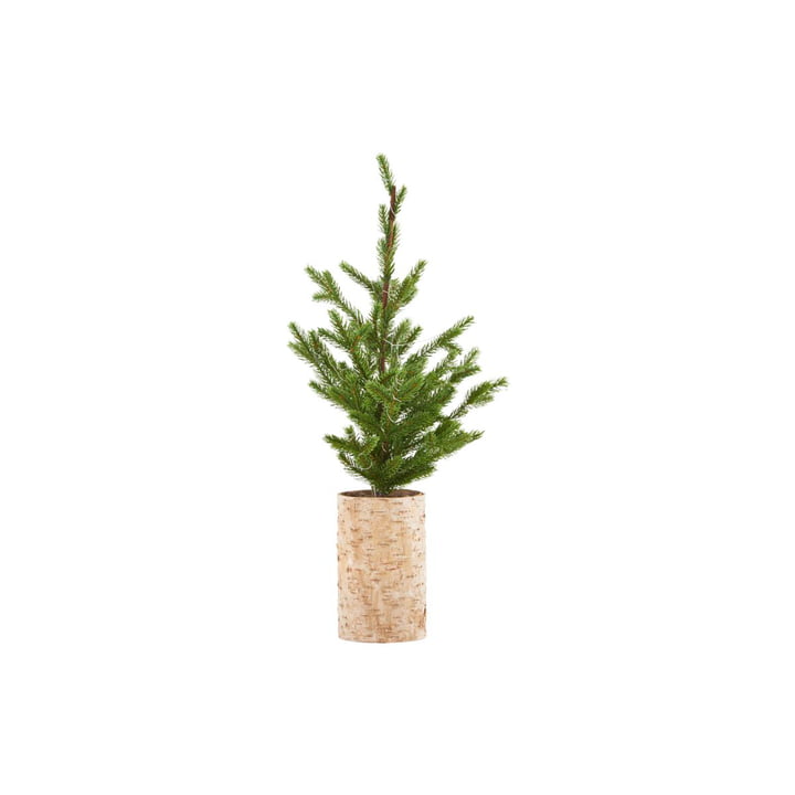Christmas tree with LED lighting, H 64 cm from House Doctor