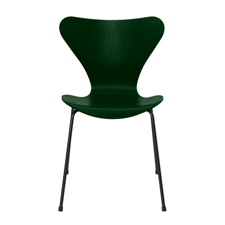 Series 7 chair from Fritz Hansen in evergreen stained ash / black frame