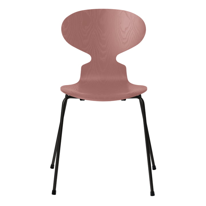 Ant chair from Fritz Hansen in ash wild rose colored / frame black