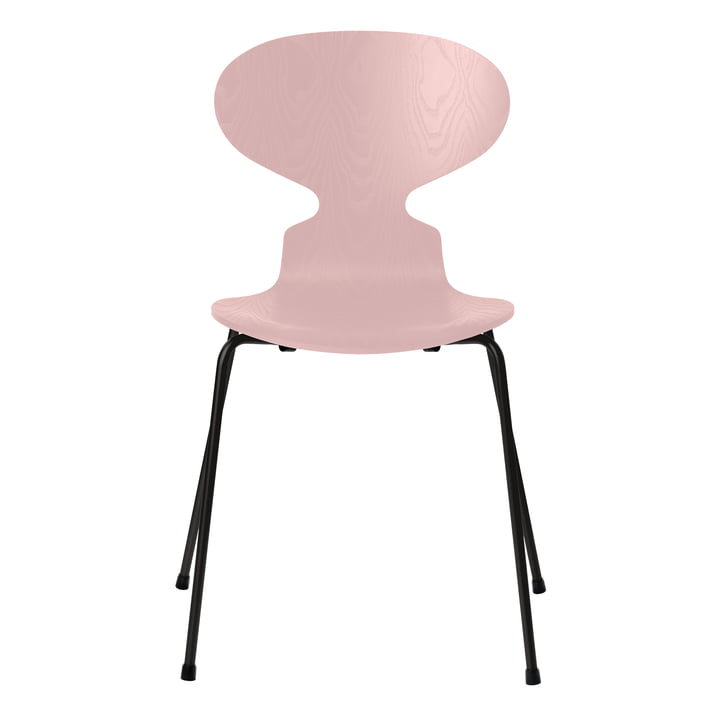 Ant chair from Fritz Hansen in ash pale rose colored / black frame
