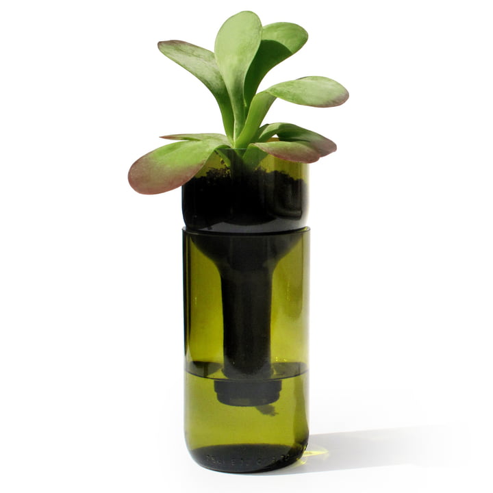 The Self Watering Bottle flower pot from side by side in green