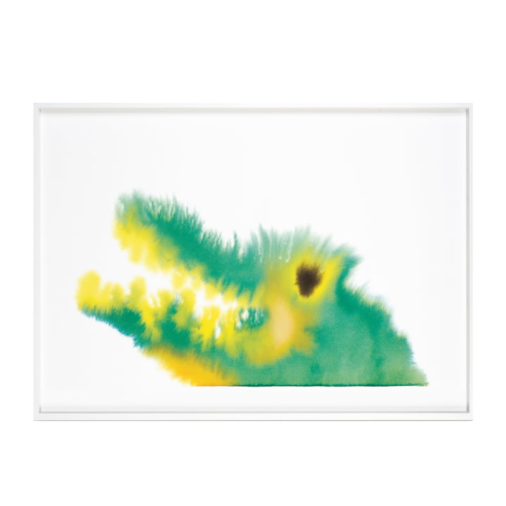 Crocodile poster with frame 52 x 69,8 cm from The Wrong Shop in multicolor