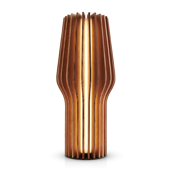 Radiant LED battery-powered light from Eva Solo in the oak version