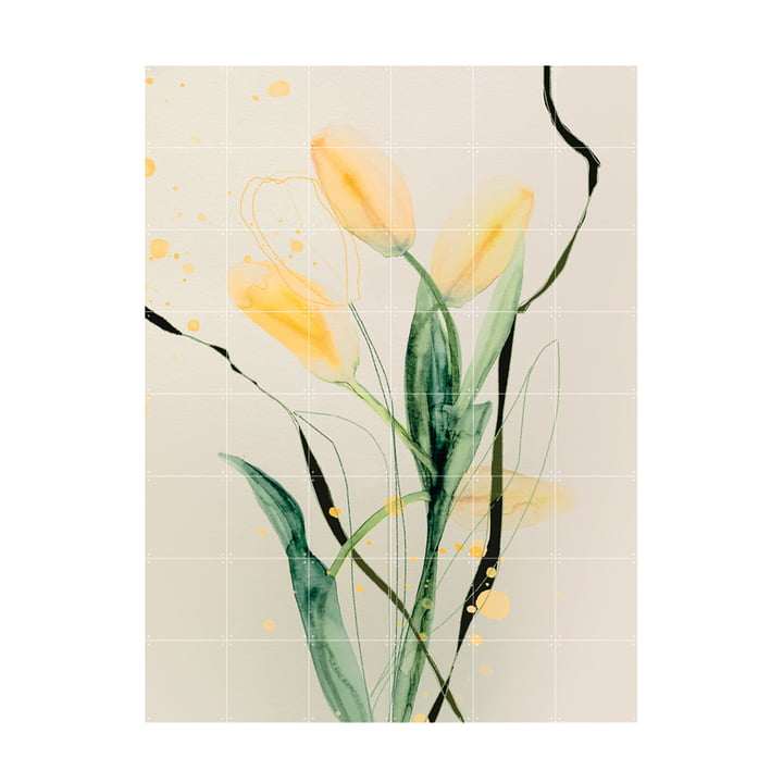 Tulip Jaune Mural 120 x 160 cm from IXXI