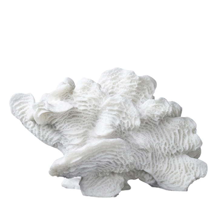 Coral Deco object fan from Mette Ditmer in white