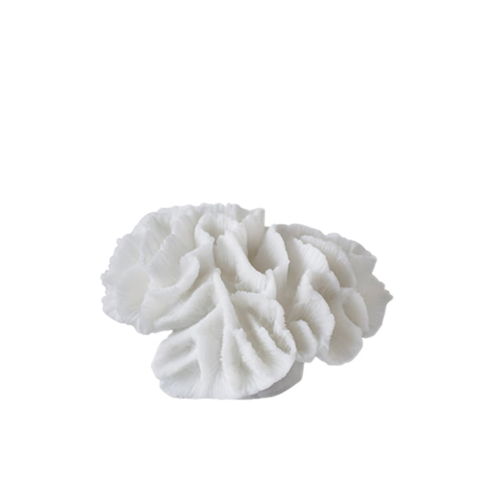 Coral Deco object gills from Mette Ditmer in white