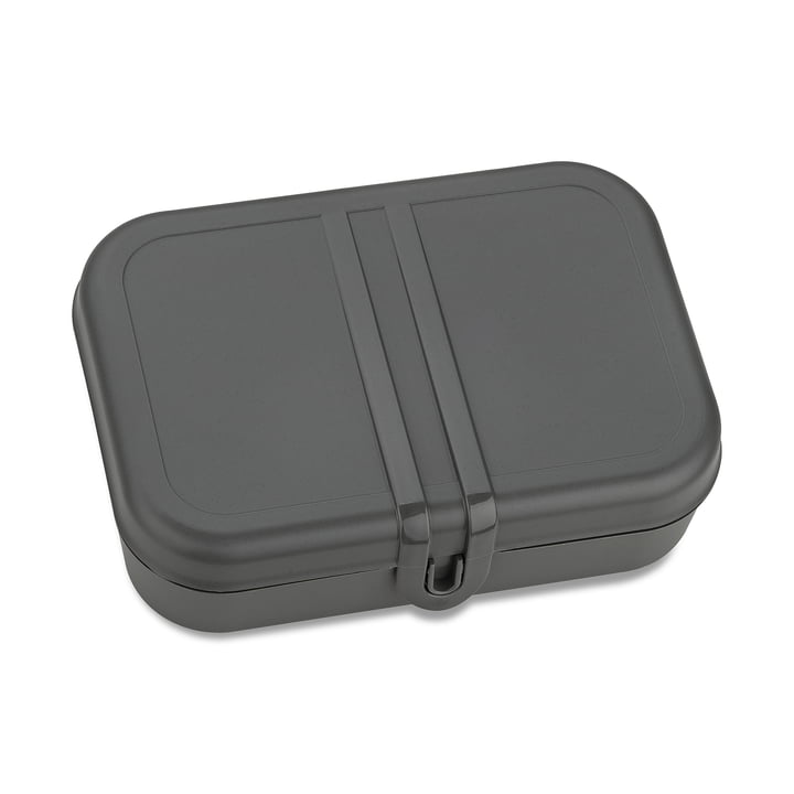 Pascal L Lunchbox with divider, nature ash grey from Koziol