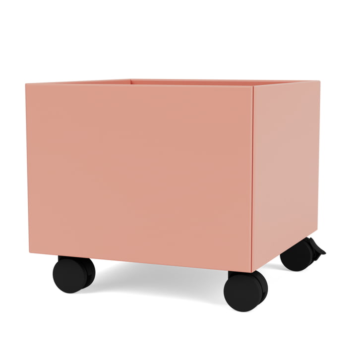 Mini Play-Box Storage box from Montana in color rhubarb