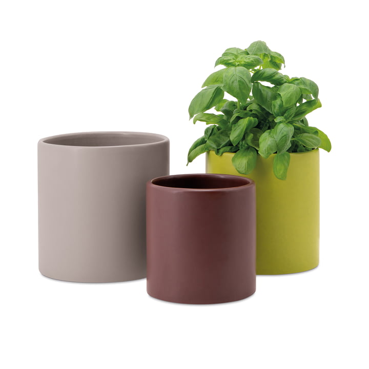 Plant pots from Remember in the version siena