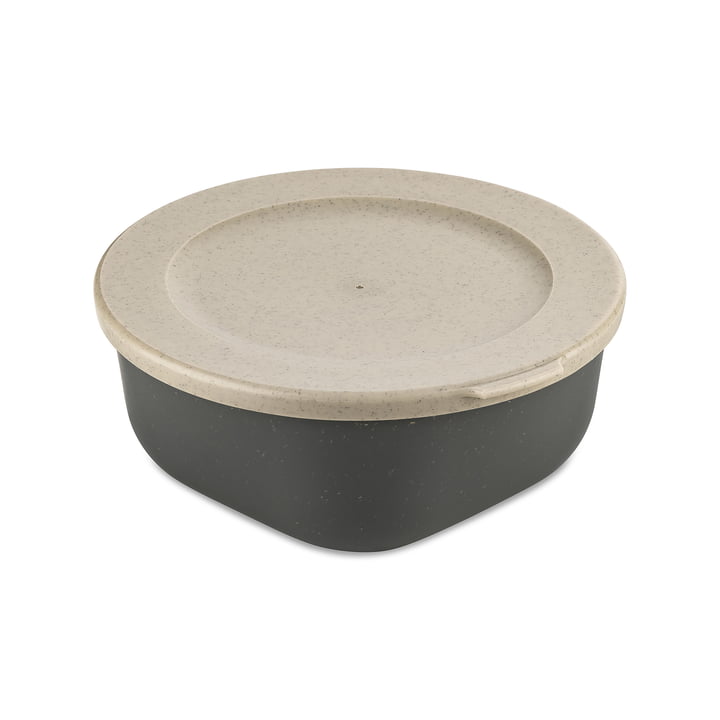 Koziol - CONNECT BOX, with lid, 700 ml, nature ash grey