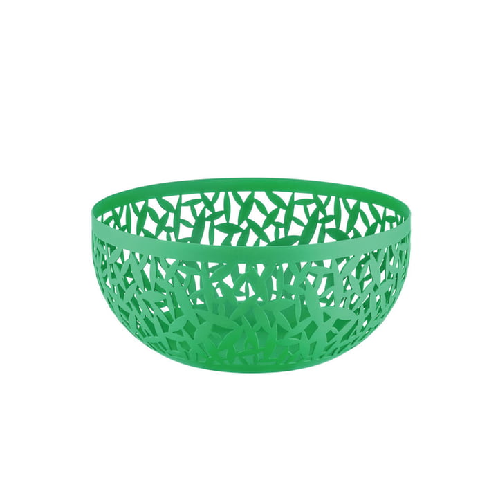 Fruit bowl Cactus ! from Alessi in color green