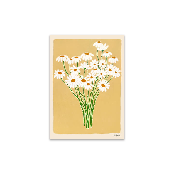 Daisies by Carla Llanos for The Poster Club