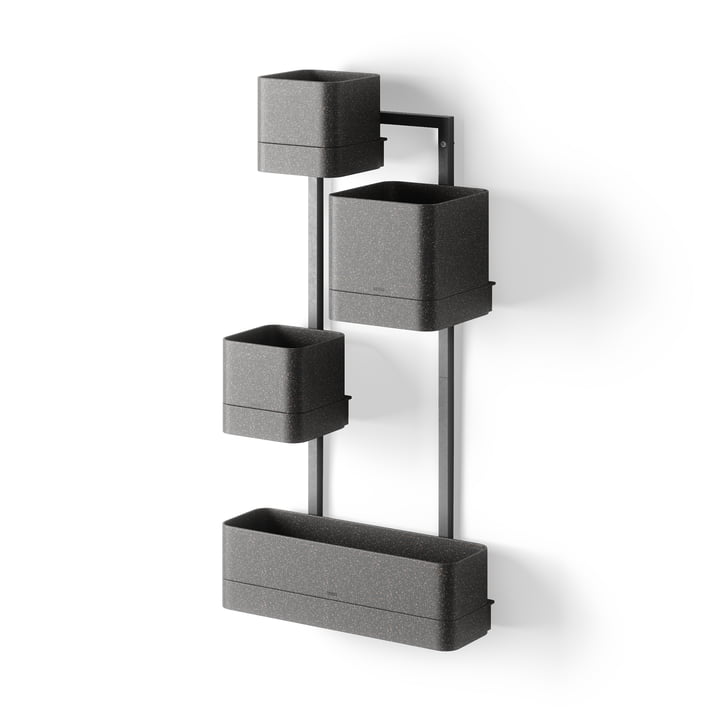 Cubiko Wall plant box, black from Umbra