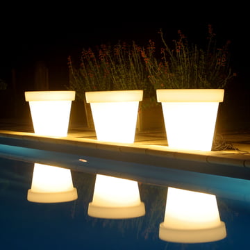 Bloom Pot with light in white