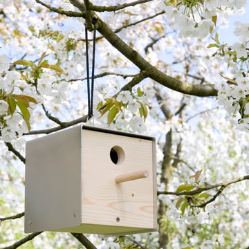 keilbach - twitter birdhouse, nature