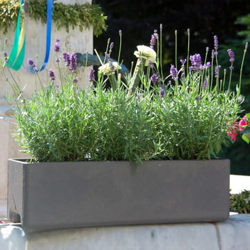 Eternit - Balconia Planter 100 x 17 x 17 cm in Light Grey with Plants