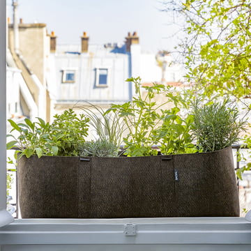 Plants on the balcony: The Bacsac plant bag
