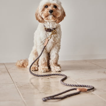 OYOY ZOO - Perry Dog leash
