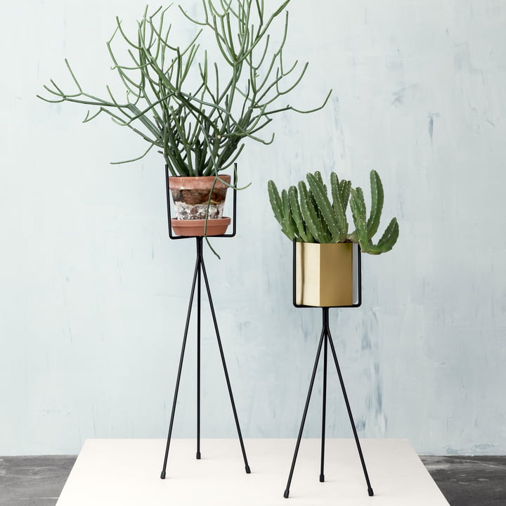Black Plant Stand in Two Sizes