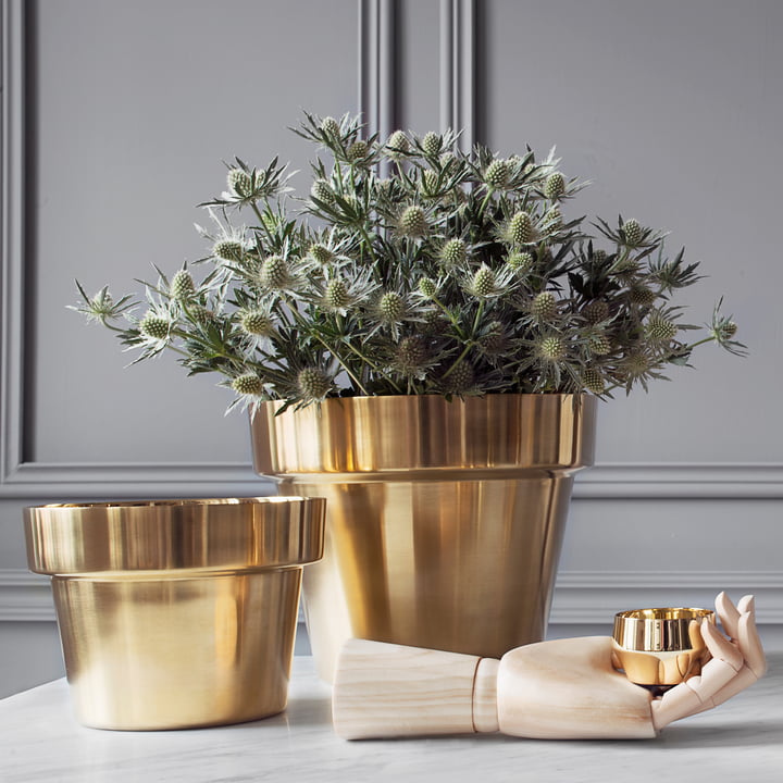 Skultuna - Flower Pots brass polished, small and medium with flowers